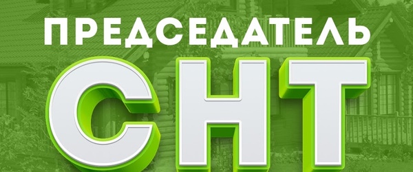 Выборы